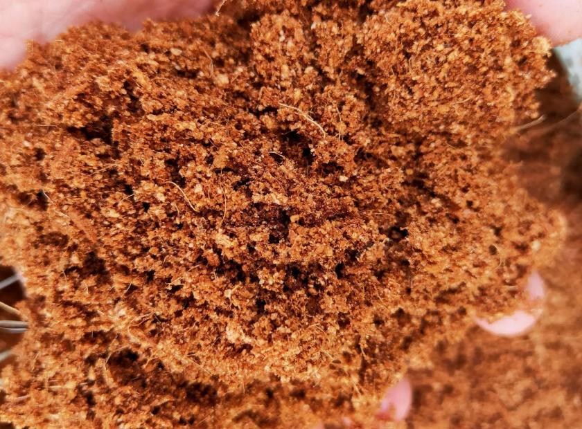 椰糠壓榨脫水處理機(jī)器視頻